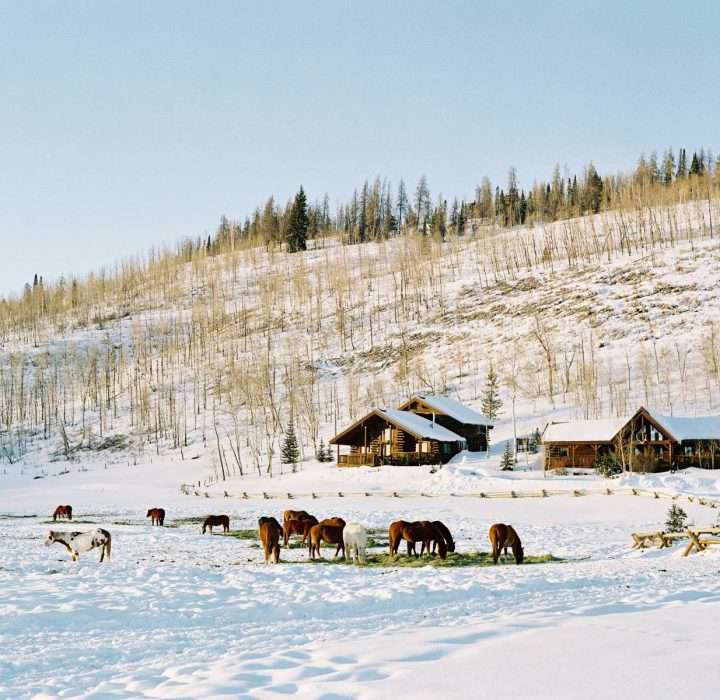 Off the Beaten Path Wedding Venues that are Worth the Trip