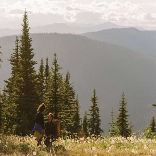 A Magical Manning Park Proposal