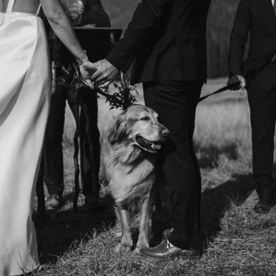 Sunny Wedding Ceremony at Senate Meadows