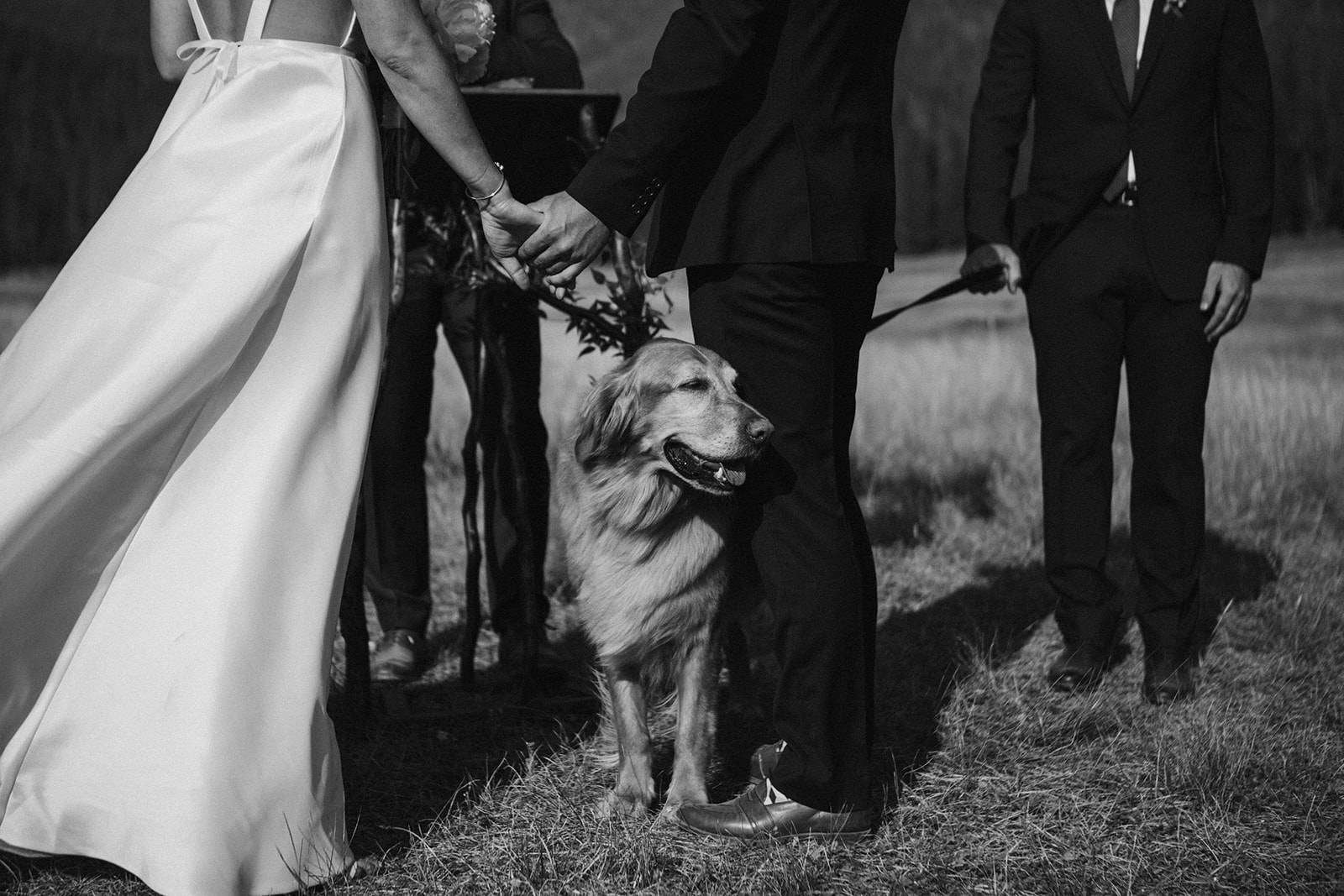 Sunny Wedding Ceremony at Senate Meadows