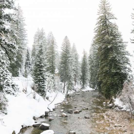 COVID-19 I Do’s: Snowy Vail Intimate Wedding