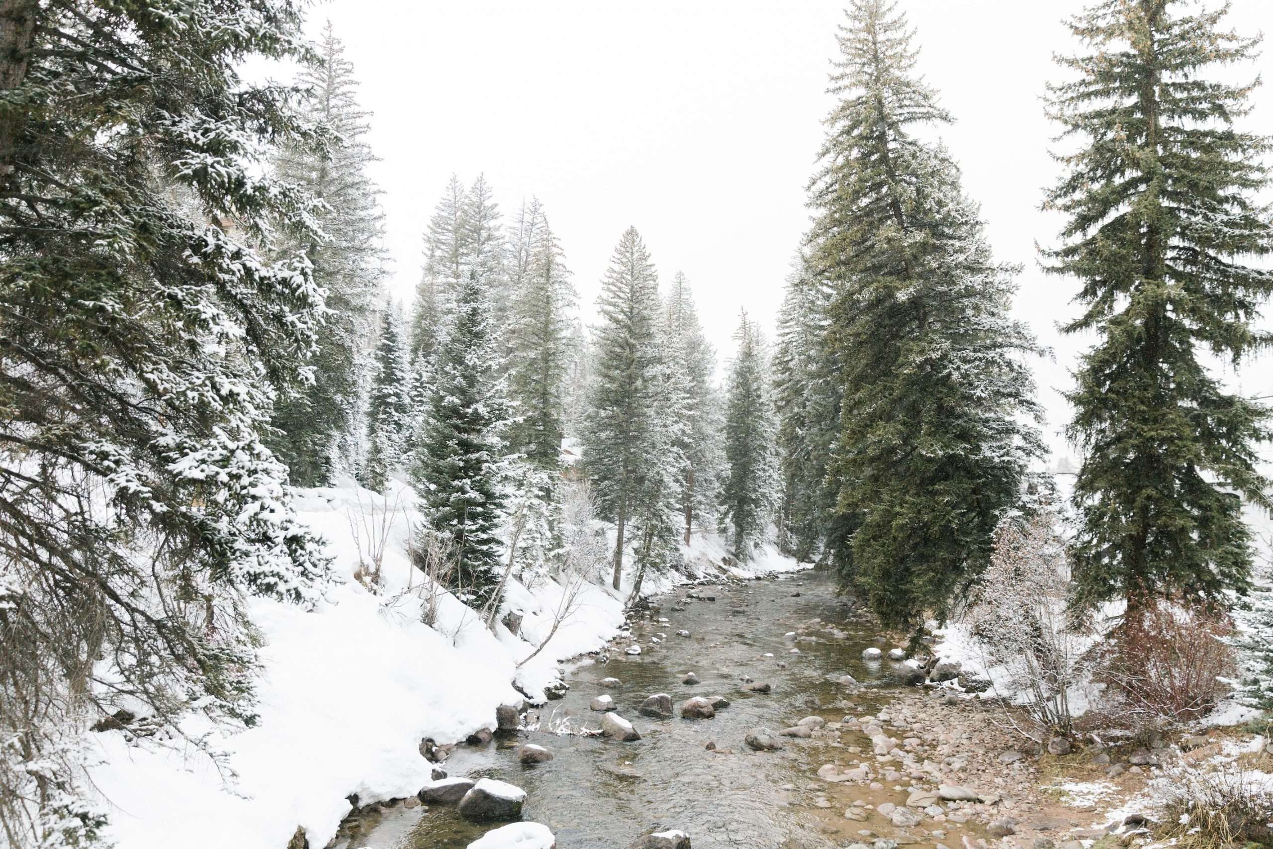 COVID-19 I Do’s: Snowy Vail Intimate Wedding