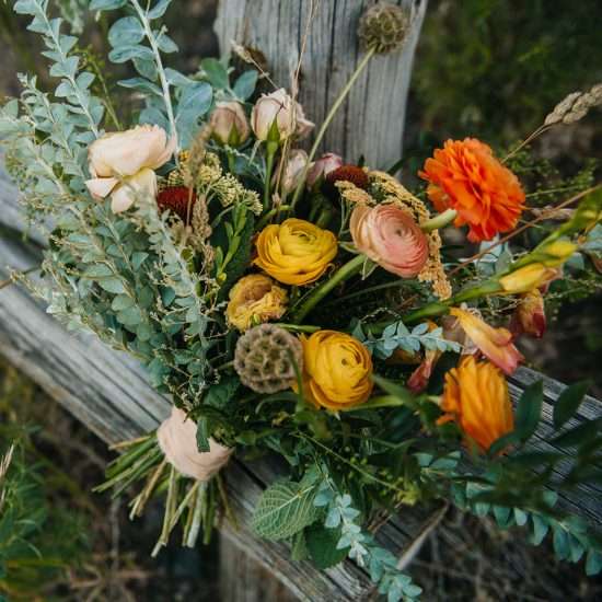 Field & Frond <span> | Montana and Wyoming Wedding Florist </span>