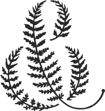Field & Frond <span> | Montana and Wyoming Wedding Florist </span>