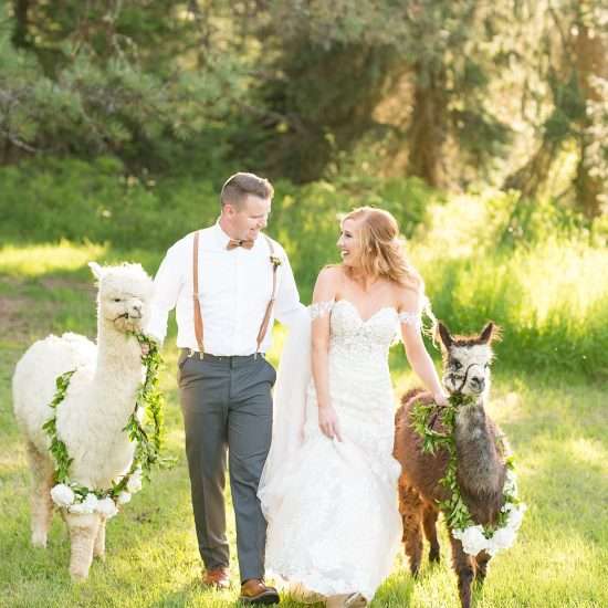 Deep Blue Floral Elopement Inspiration at Twin Creeks Farm