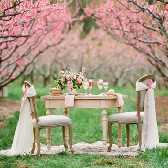 Destination Jackson Hole <span> | Jackson Wyoming Wedding Planner </span>