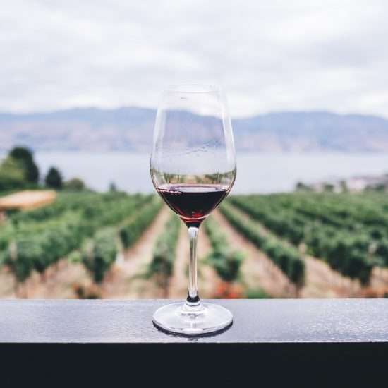 Bachelorette Party Guide | Napa, California