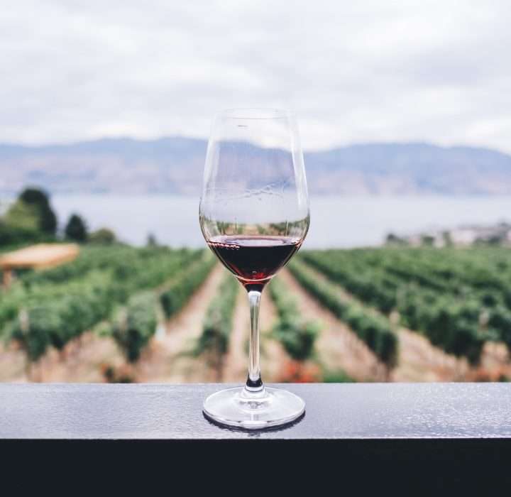 Bachelorette Party Guide | Napa, California
