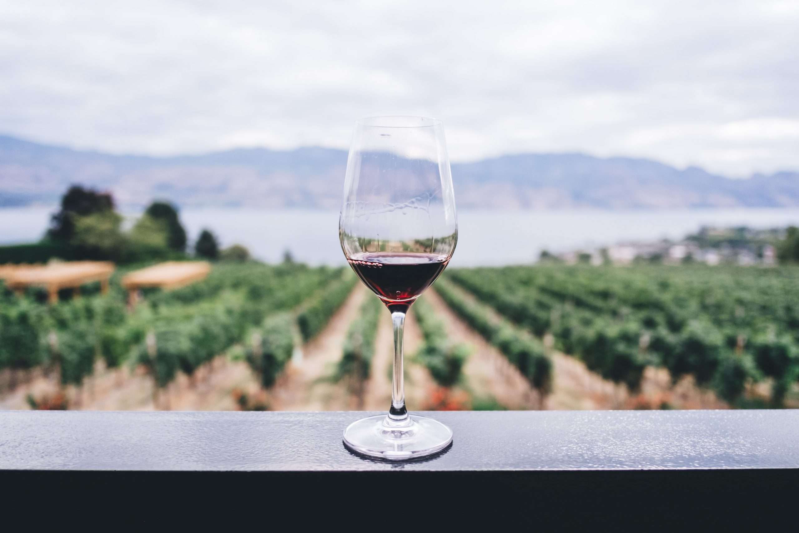 Bachelorette Party Guide | Napa, California