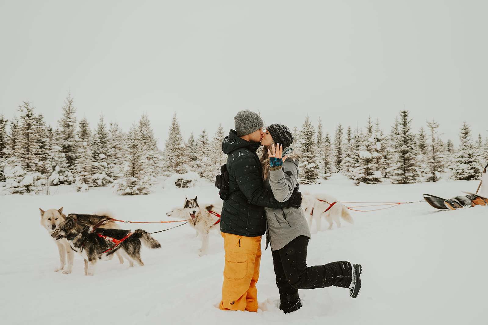 Magical Dog Sledding Proposal