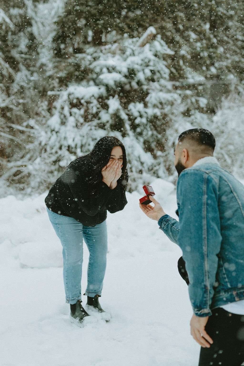 Surprise Snowy Squamish Proposal