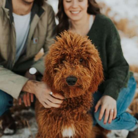 Winter Flatirons Engagement Session