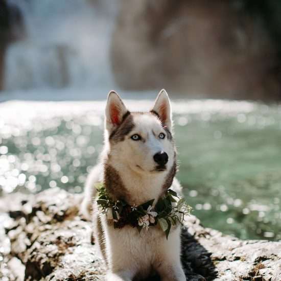 Outdoorsy Elopement in British Columbia