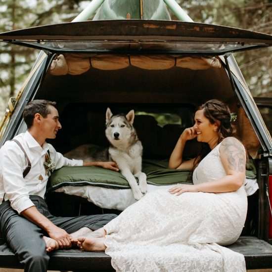 Yes, Your Dog Can Be Your Wedding Witness in Colorado
