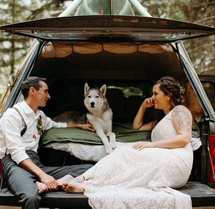 Yes, Your Dog Can Be Your Wedding Witness in Colorado