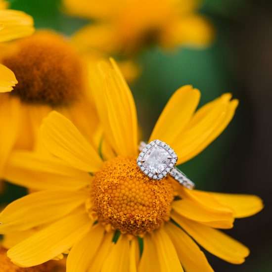 Colorado Engagement Session Amongst the Wildflowers