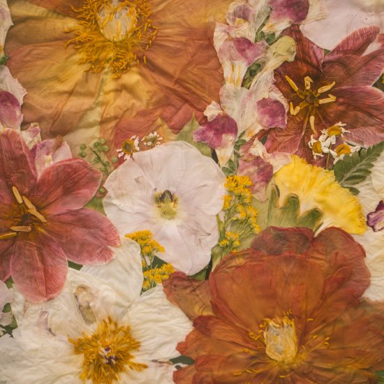 Pressed Floral <span> | Utah Wedding Floral Preservation </span>
