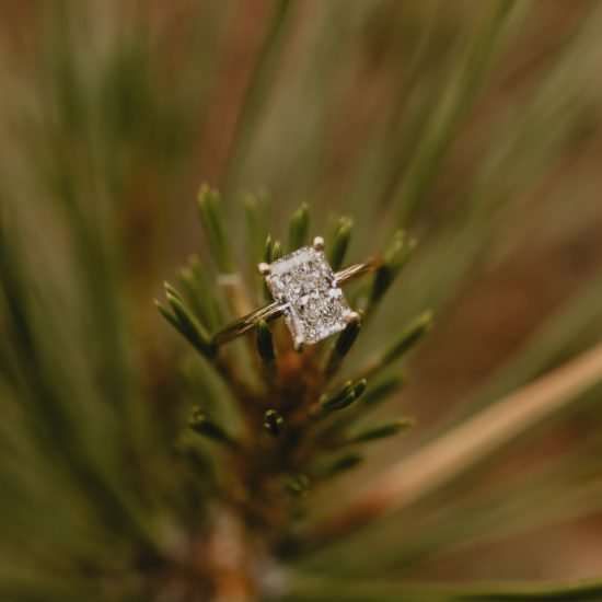 Casual Lakeside Proposal in Colorado