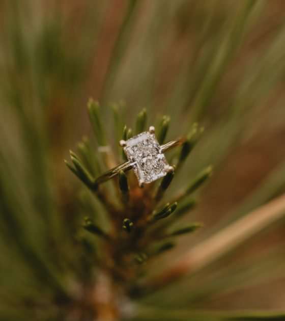 Casual Lakeside Proposal in Colorado