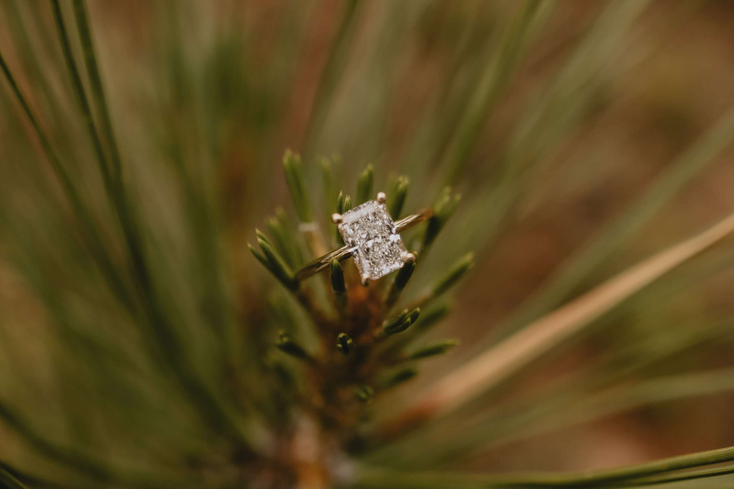 Casual Lakeside Proposal in Colorado