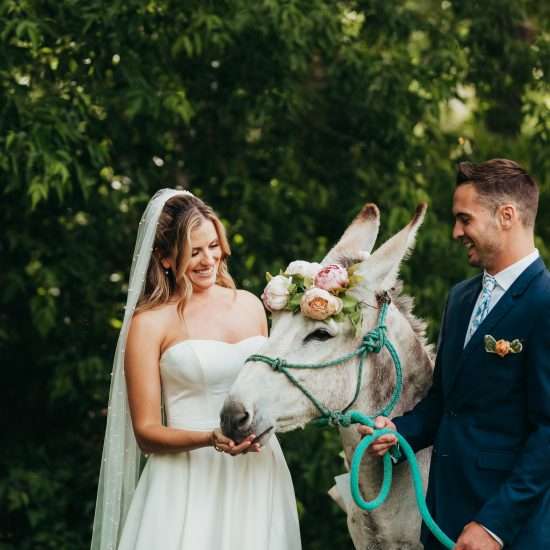 Rustic and Blue Fairytale I Do’s