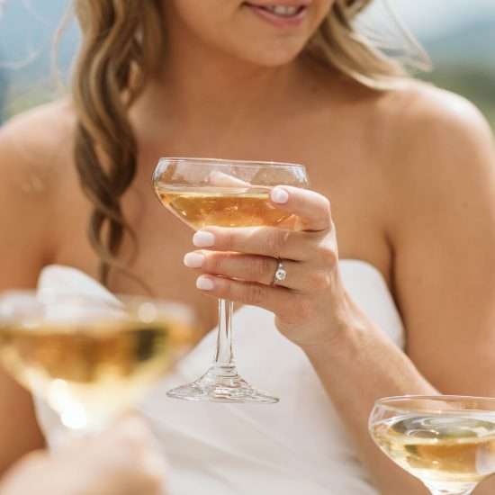 Top Shelf Utah <span> | Utah Wedding Mobile Bar </span>