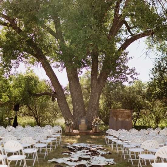 The White Longhorn <span> | Colorado Wedding Planner </span>
