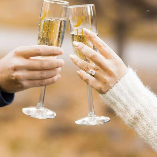 Locked in Love Proposal in Evergreen, Colorado
