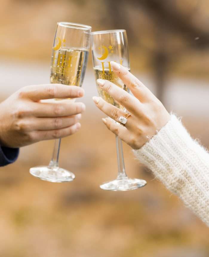 Locked in Love Proposal in Evergreen, Colorado