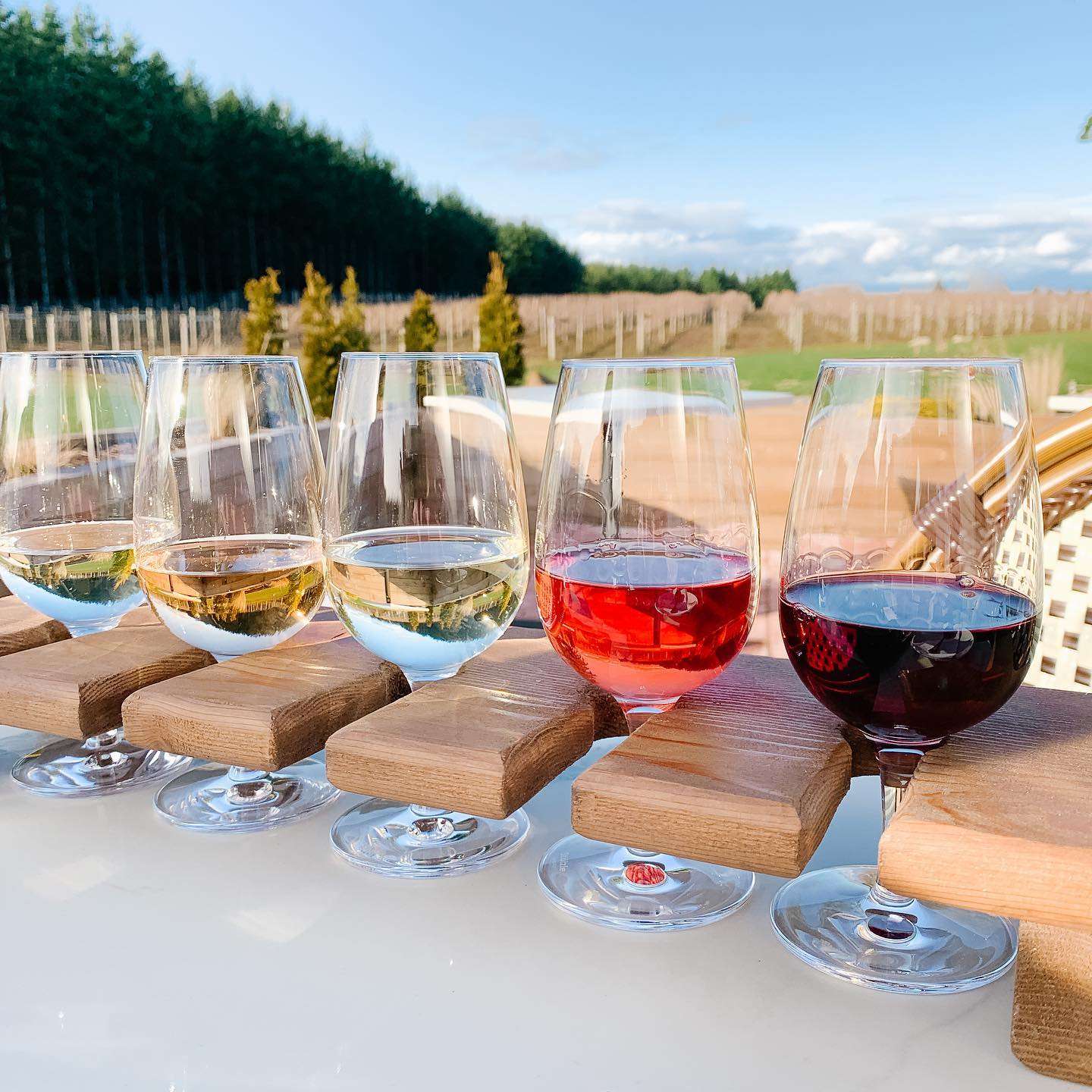wine flight in vancouver