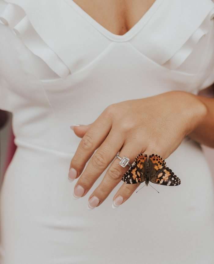 Lifetime of Butterflies Bridal Shower