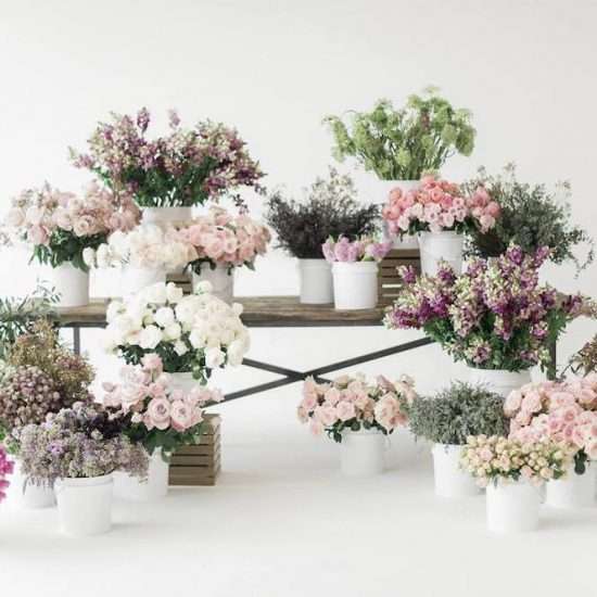 FiftyFlowers