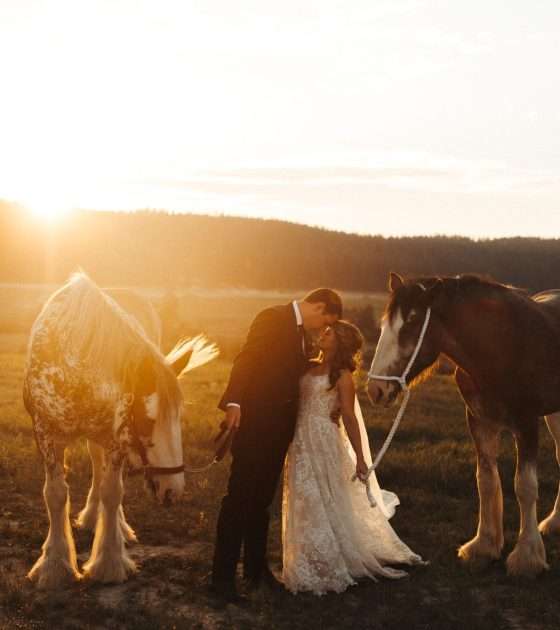 Stylish Western Micro Wedding in Montana