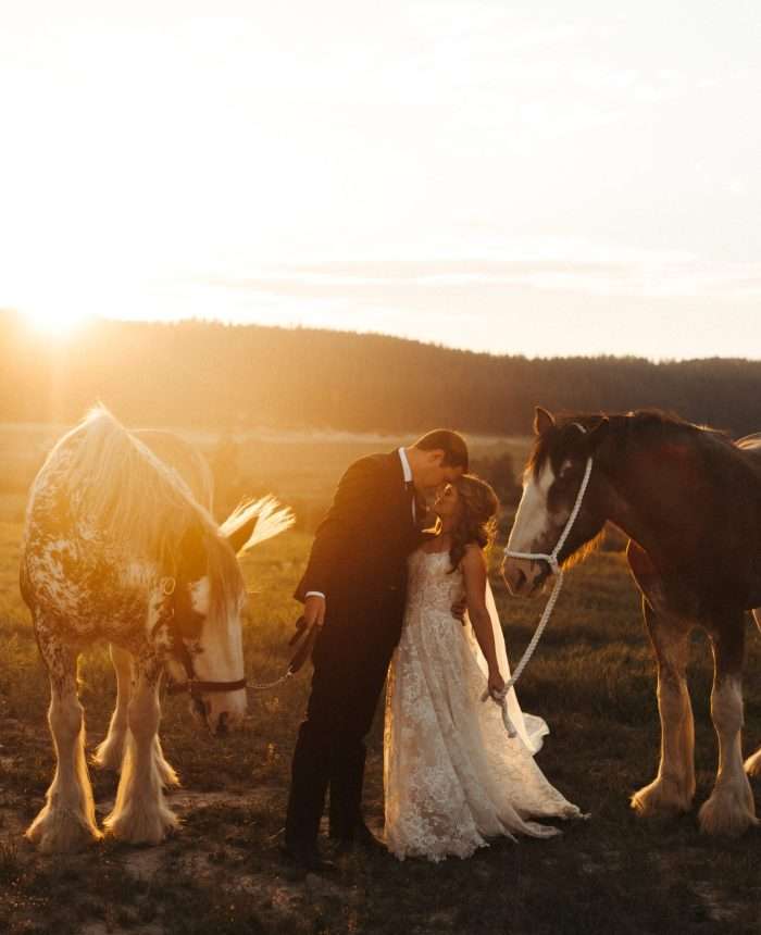 Stylish Western Micro Wedding in Montana