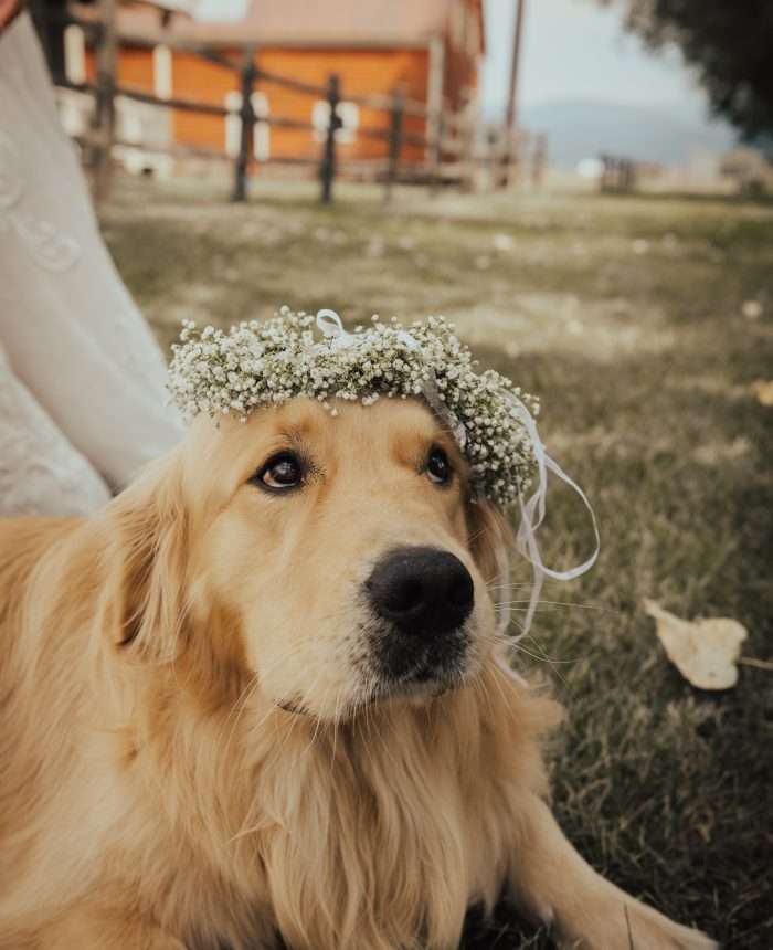 Rustic and Quaint Wedding in Idaho
