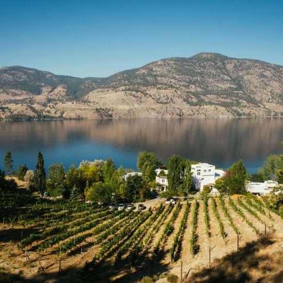 9 Rocky Mountain Wedding Venues with Italian Villa Vibes