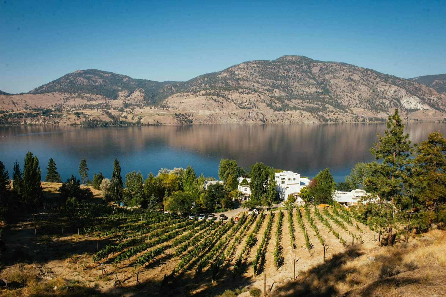 9 Rocky Mountain Wedding Venues with Italian Villa Vibes