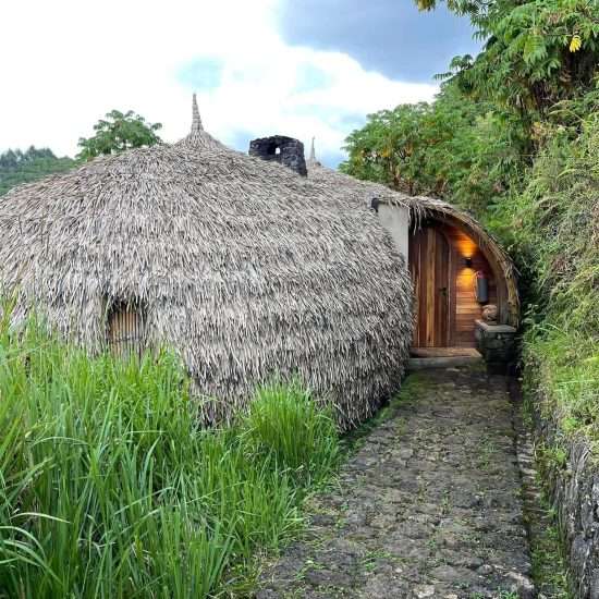 Wilderness Bisate