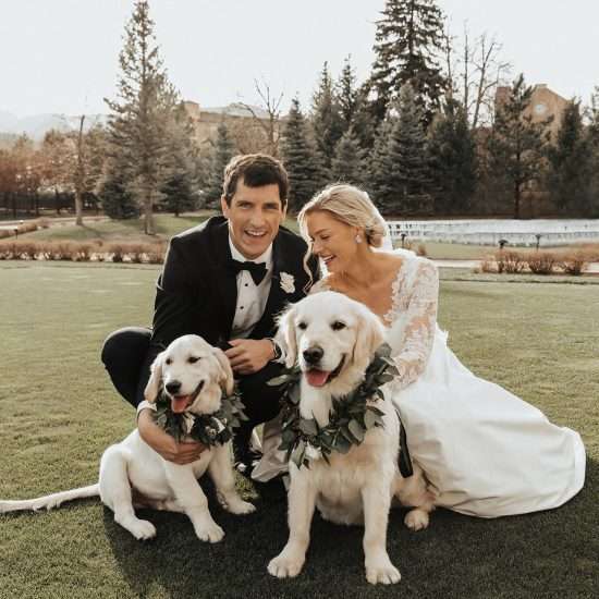 The Best of 2023: Dogs in the Rocky Mountains