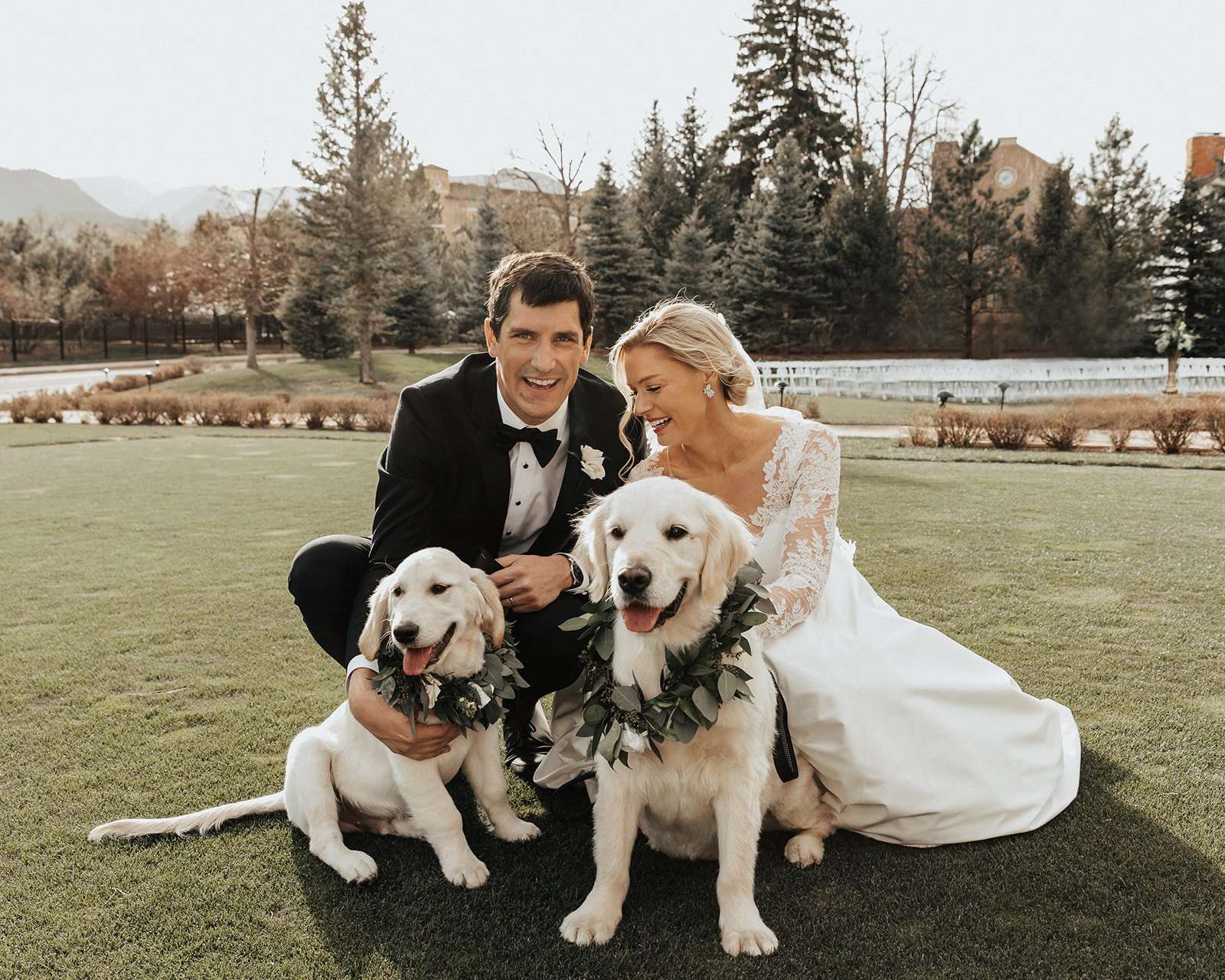 The Best of 2023: Dogs in the Rocky Mountains