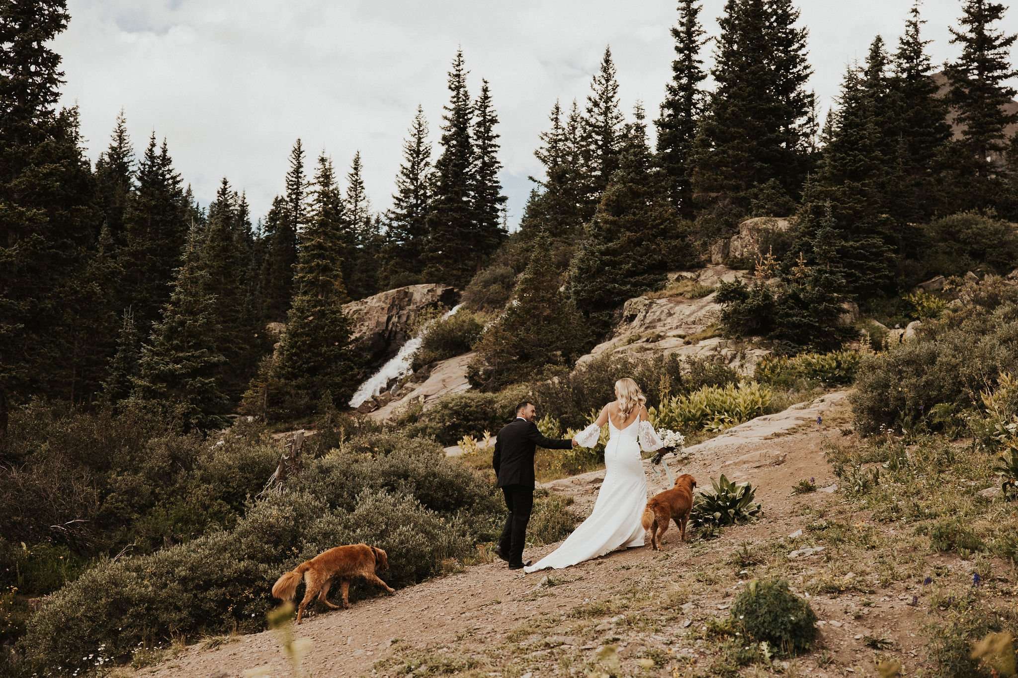 Ways to Incorporate your Dogs into your Elopement