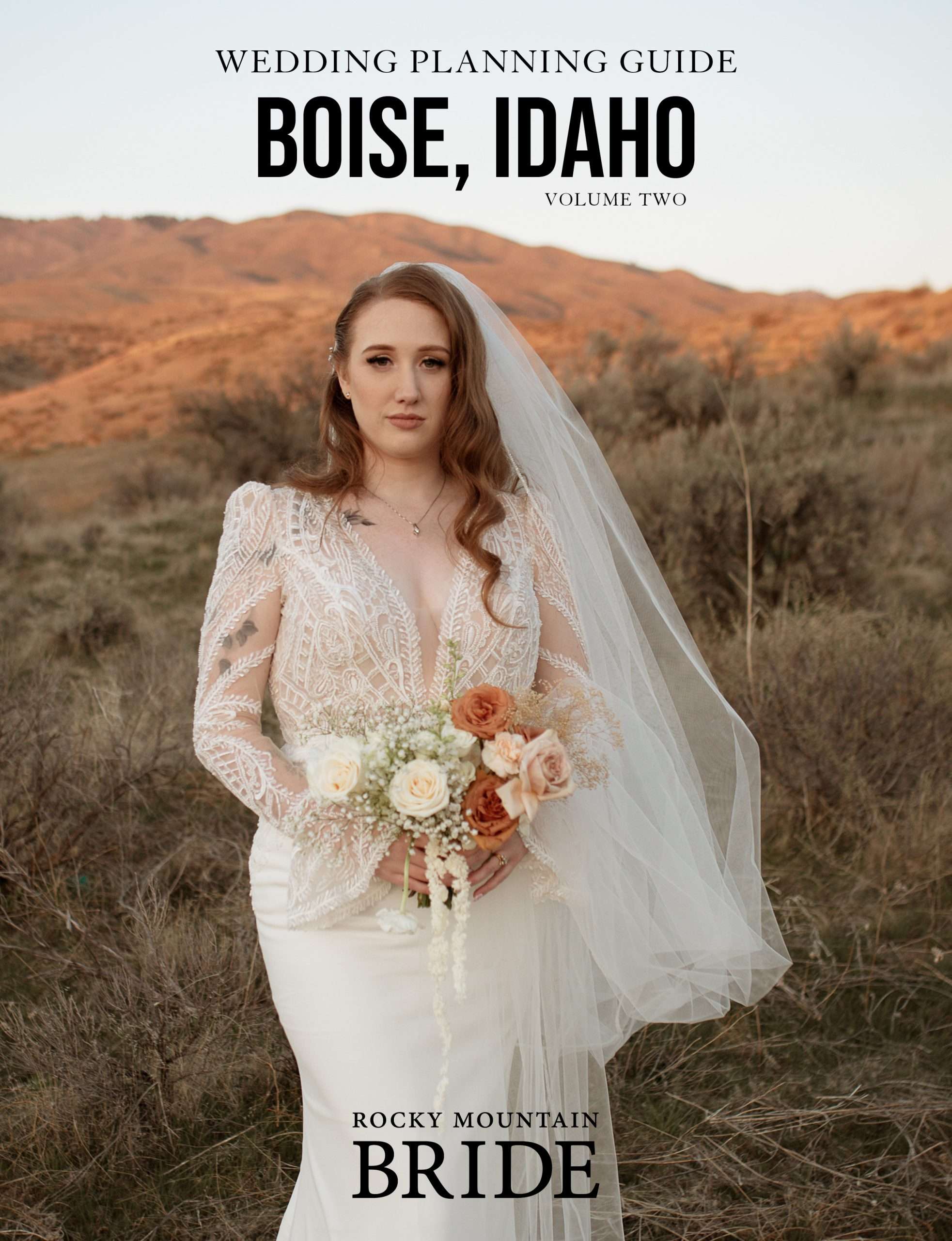 Boise Vol. 2