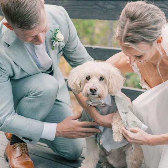 Picture Perfect Elopement on Lake Dillon