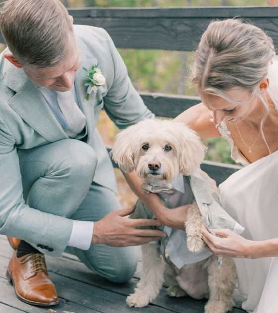Picture Perfect Elopement on Lake Dillon