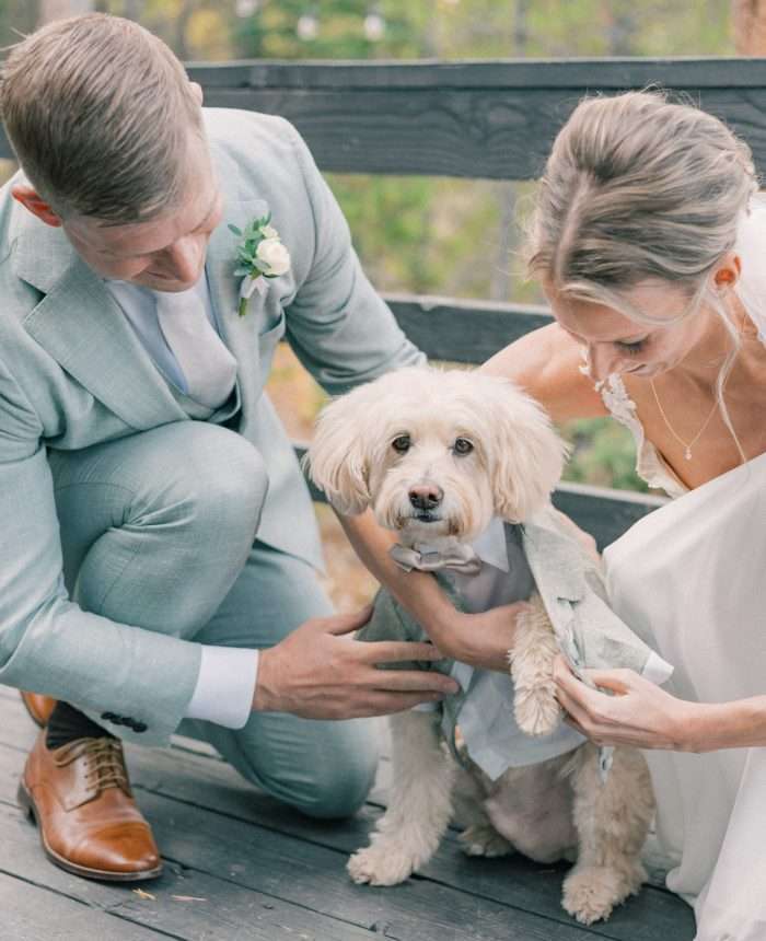 Picture Perfect Elopement on Lake Dillon