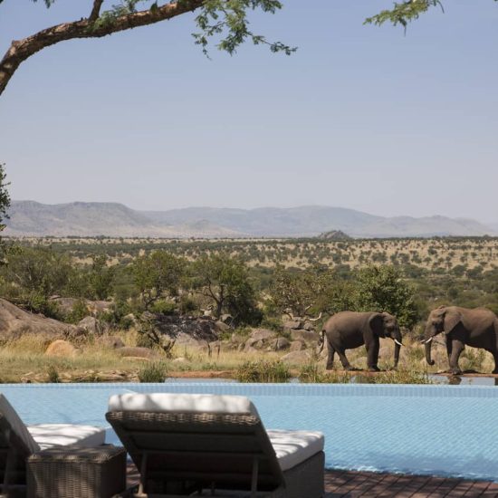 Adventure Awaits: 8 Honeymoon Destinations for Thrill-Seeking Couples