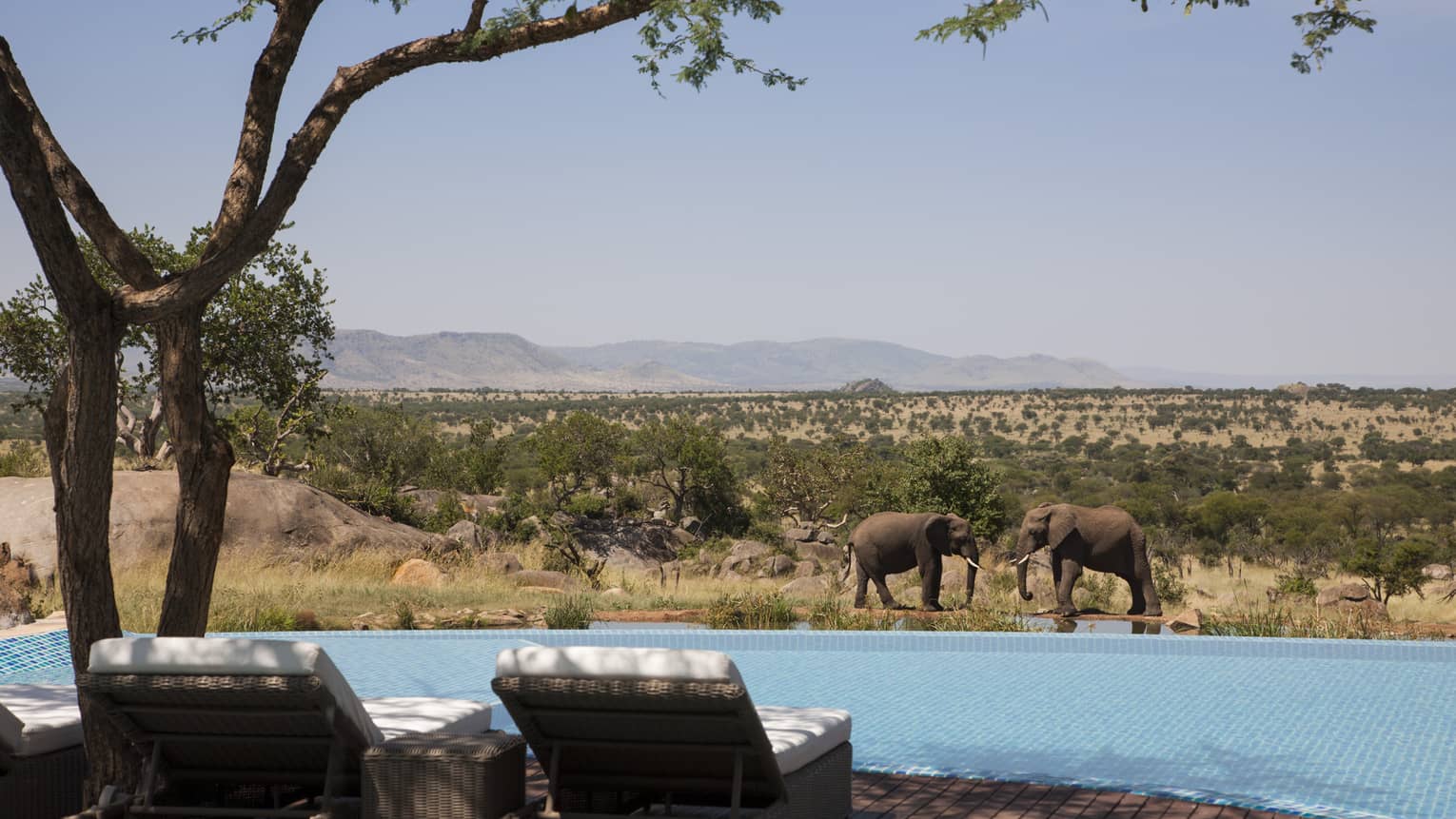 Adventure Awaits: 8 Honeymoon Destinations for Thrill-Seeking Couples