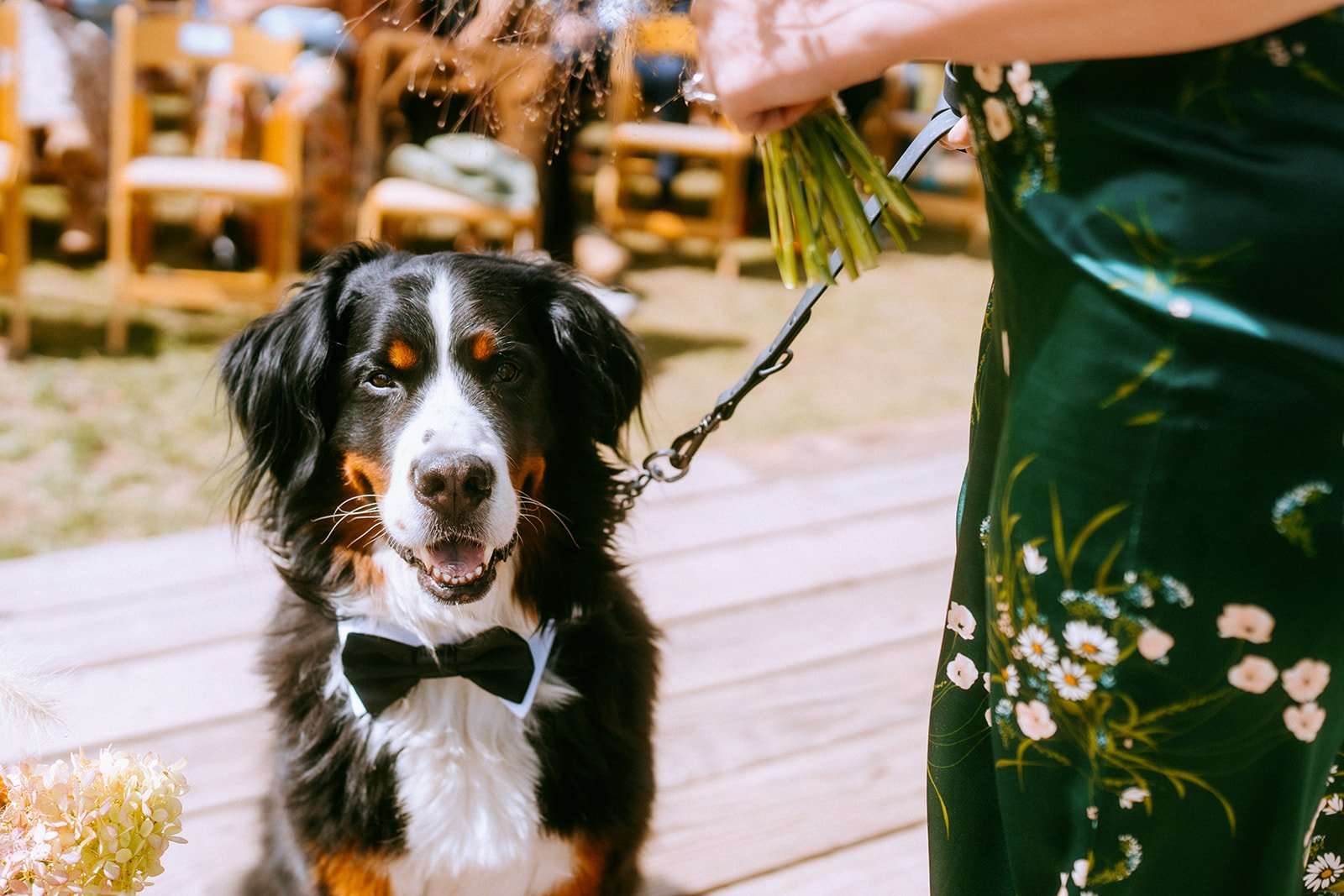 25 Dog Friendly Colorado Wedding Venues
