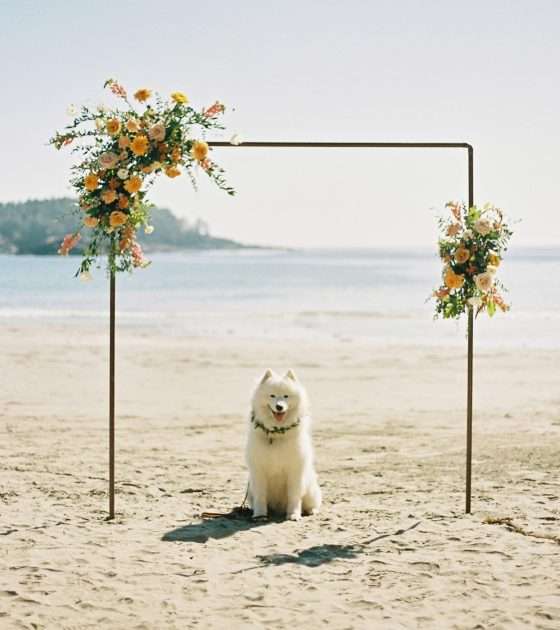 Intimate Disco Beach Wedding in Tofino