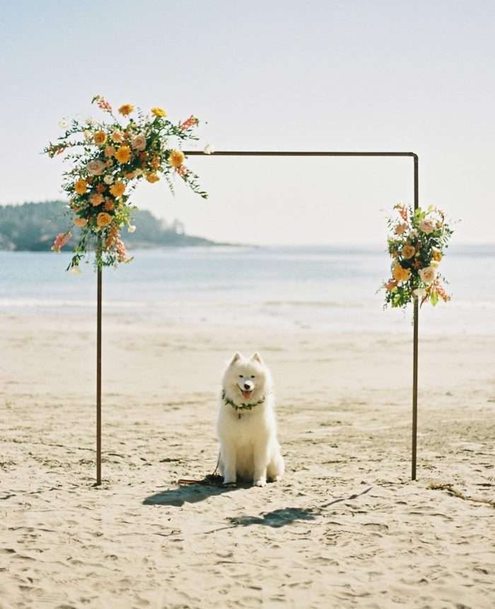Intimate Disco Beach Wedding in Tofino